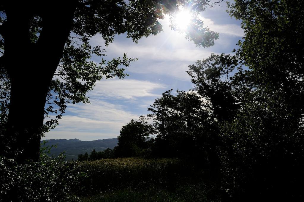 Agriturismo I Monti Semproniano Екстер'єр фото